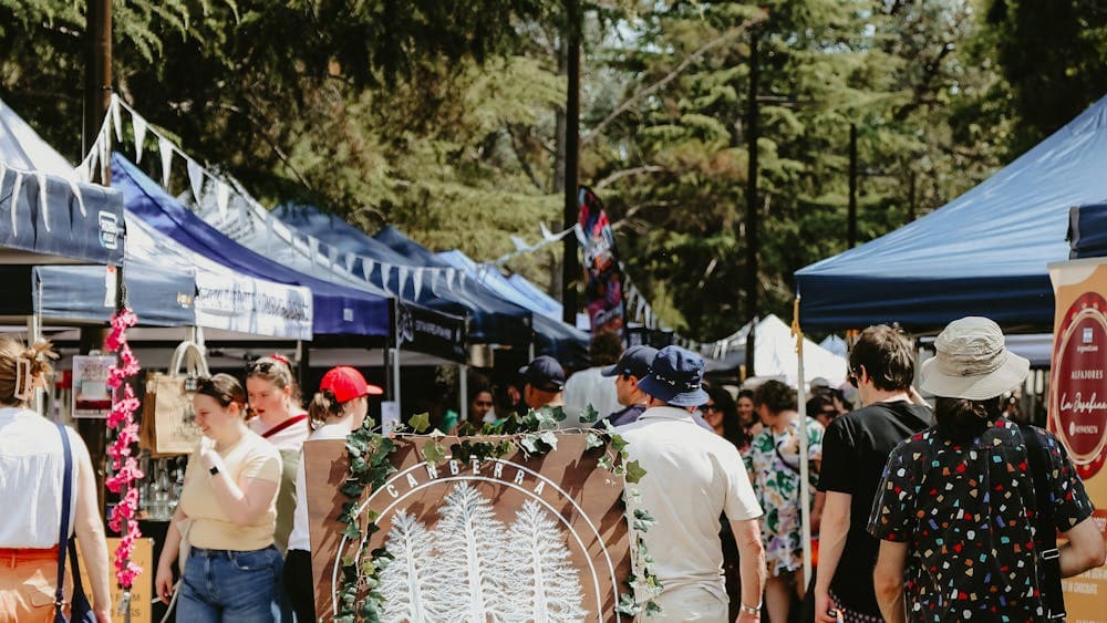 Spring Sustainability Market at Haig Park Village Markets