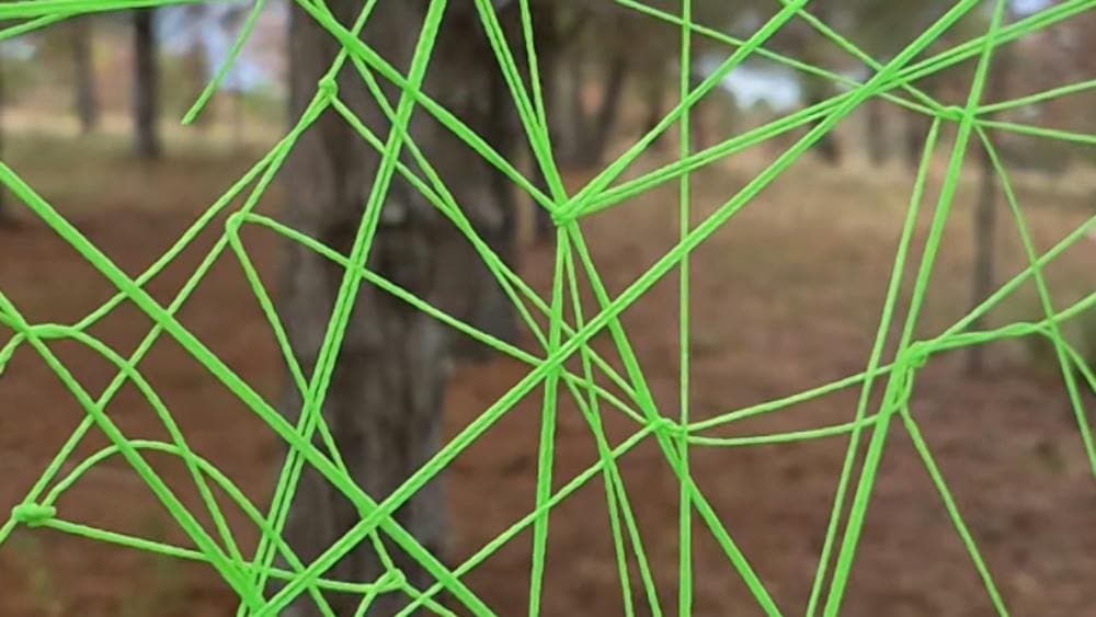 2026 Craft + Design Canberra  Daily Creative Challenge Exhibition