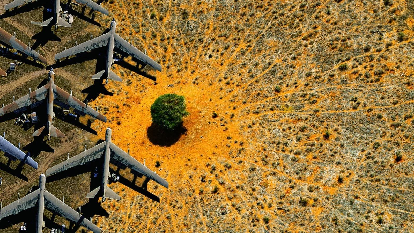 'Nature' documentary screening Canberra - Citizen COP