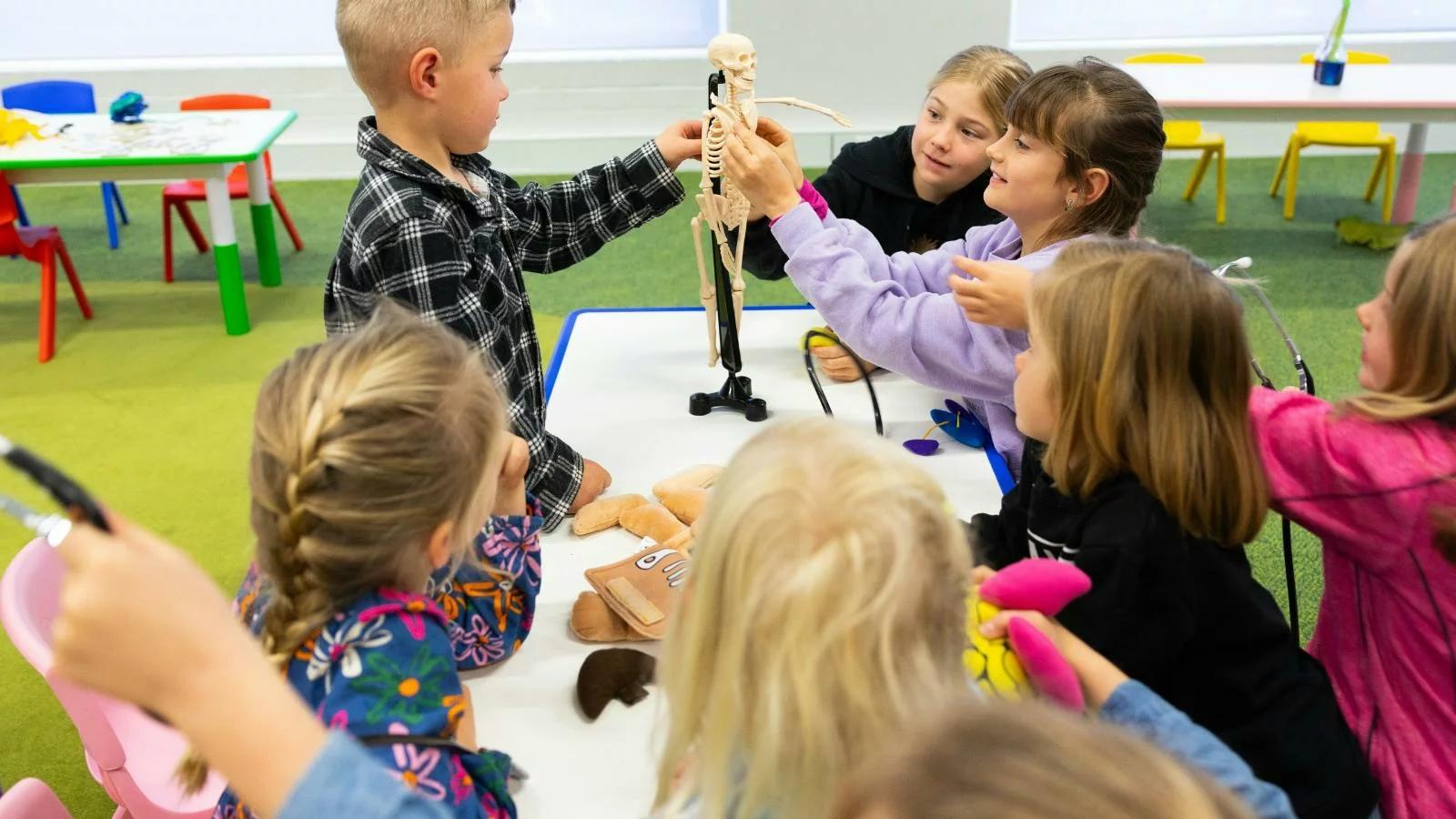Science Time: Inside the Body